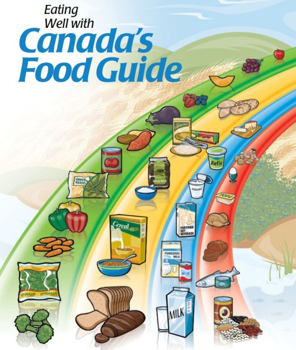 What an early draft tells us about Canada’s new food guide National