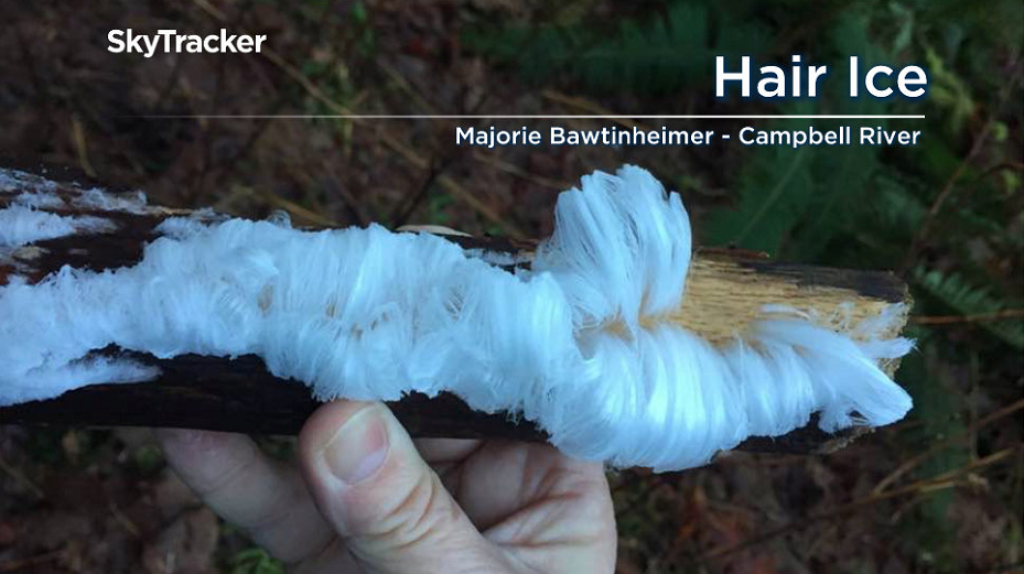 No, it’s not hair unusual ice formations turn up on Vancouver Island