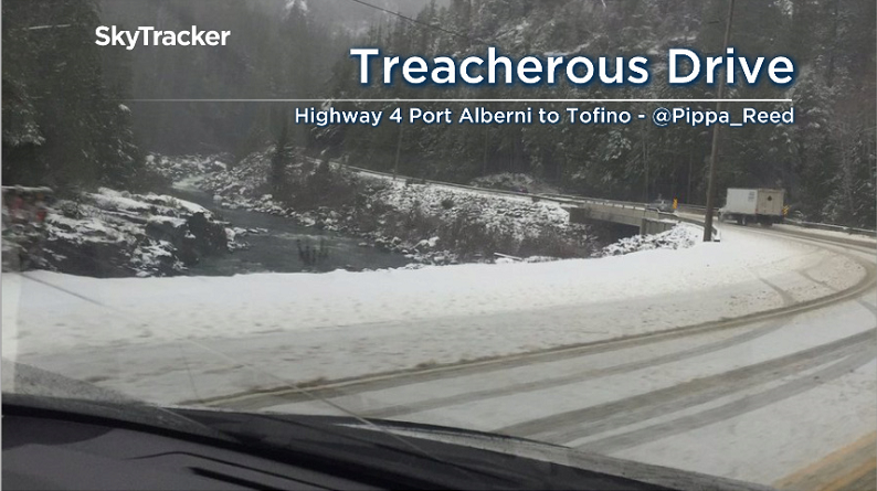 Highway 4 between Port Alberni and Tofino Tuesday, Jan 8th 2019