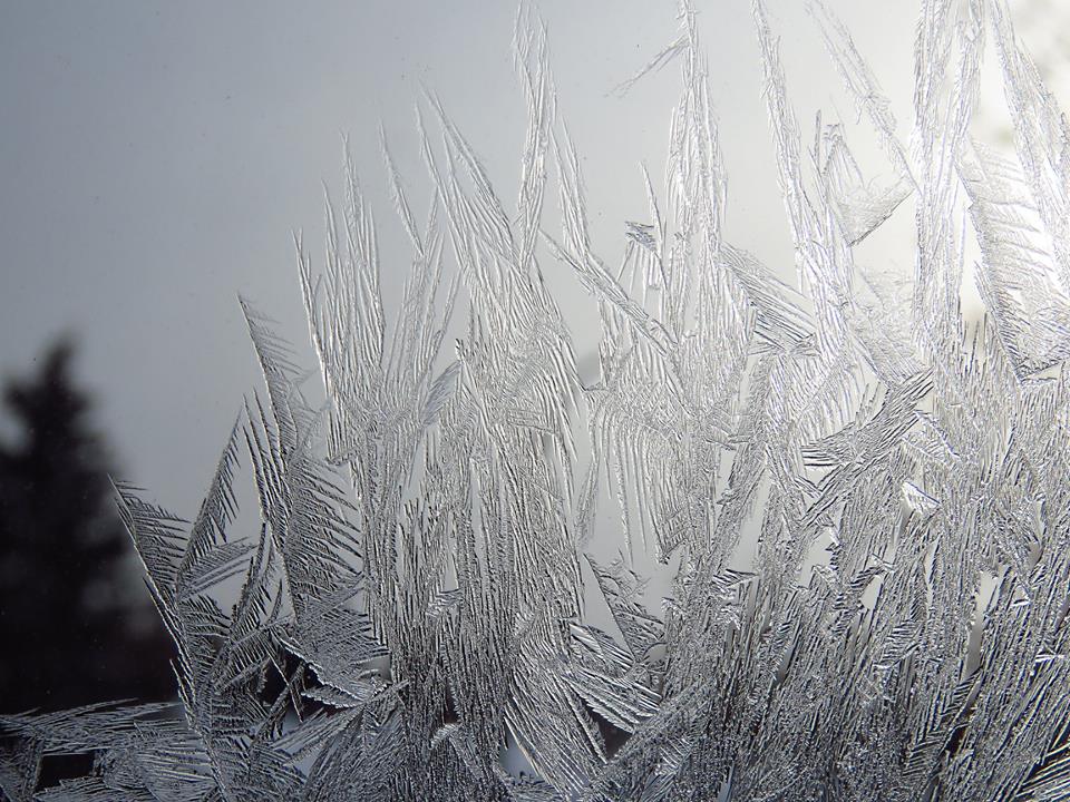 A frost warning is in effect for parts of eastern Ontario.