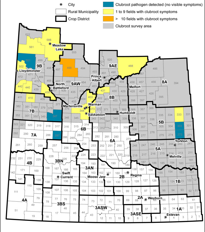 Clubroot distribution in Saskatchewan: 2008 to 2018.