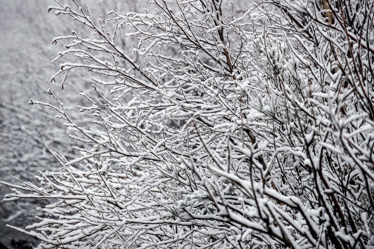 With Environment Canada forecasting windchill values near -30 overnight Friday, the Middlesex-London Health Unit has issued its second cold weather alert of the season.