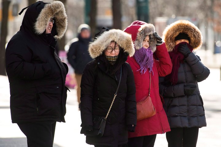 Cold weather alert issued by medical officer for Hamilton area