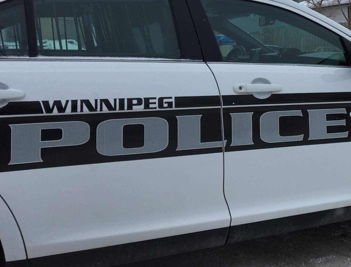 Four Winnipeggers busted for three days of stolen-car mayhem - image