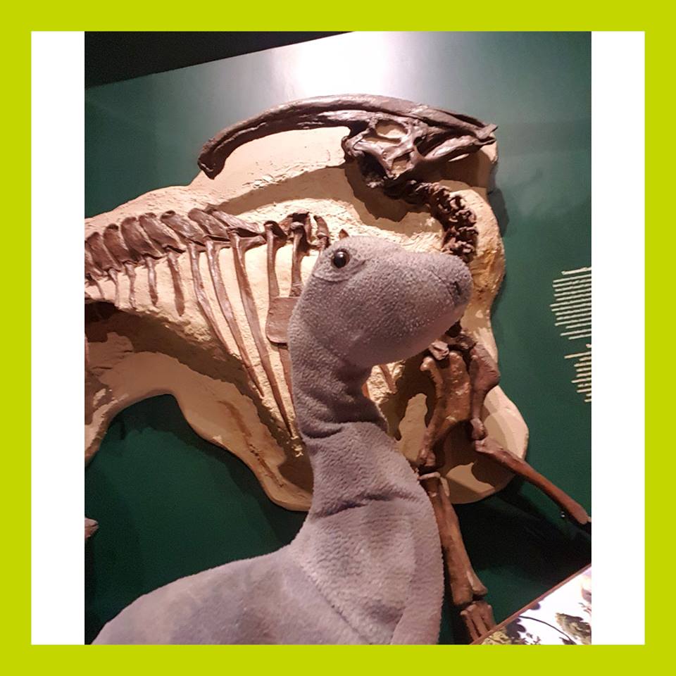 This dinosaur is looking for its owner.