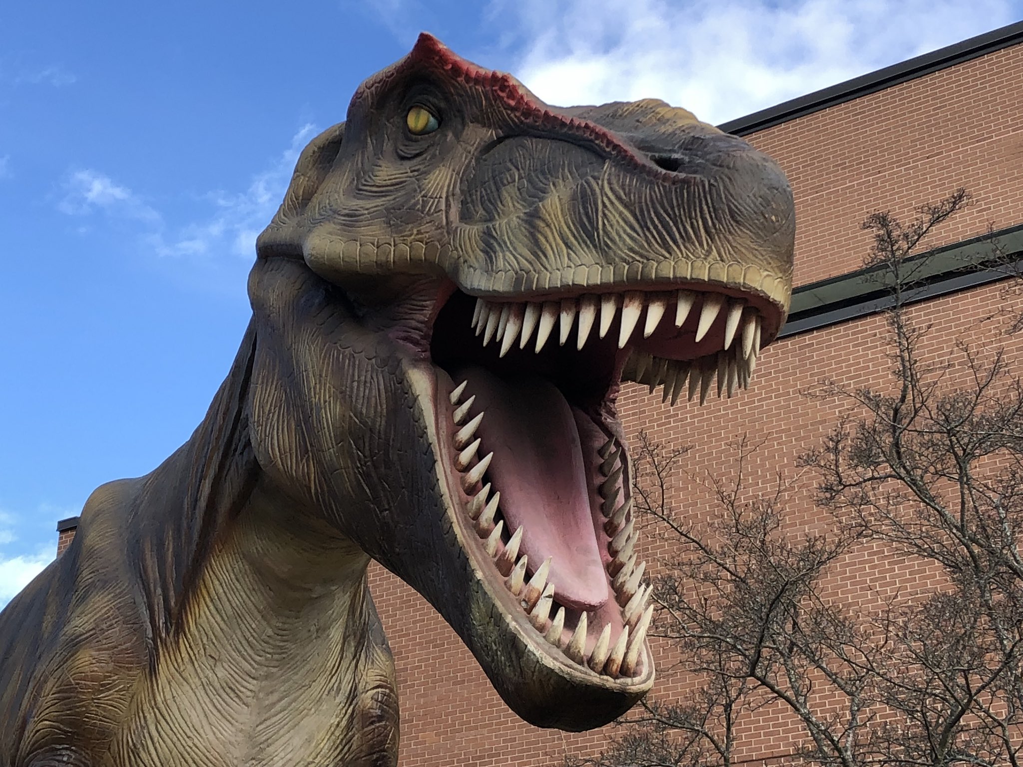 dx7yqhcvyaixdao.jpg?quality=65