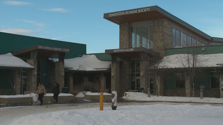 A photo of the Edmonton Humane Society facility taken on Jan. 24, 2019.