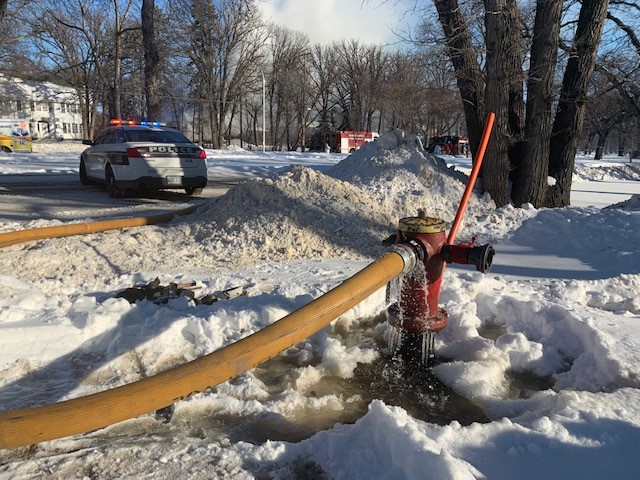 Two firefighters injured, dogs killed in Wellington Crescent blaze - image