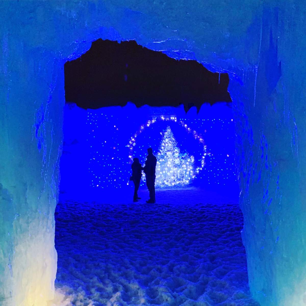 From igloo dinners to winter zip lines, 12 ways to embrace winter across Canada - image