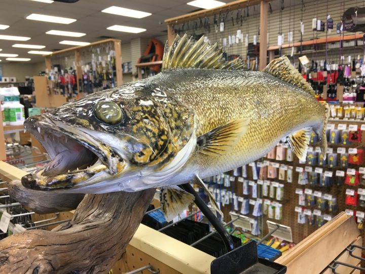 The Fishin’ Hole in Saskatoon.