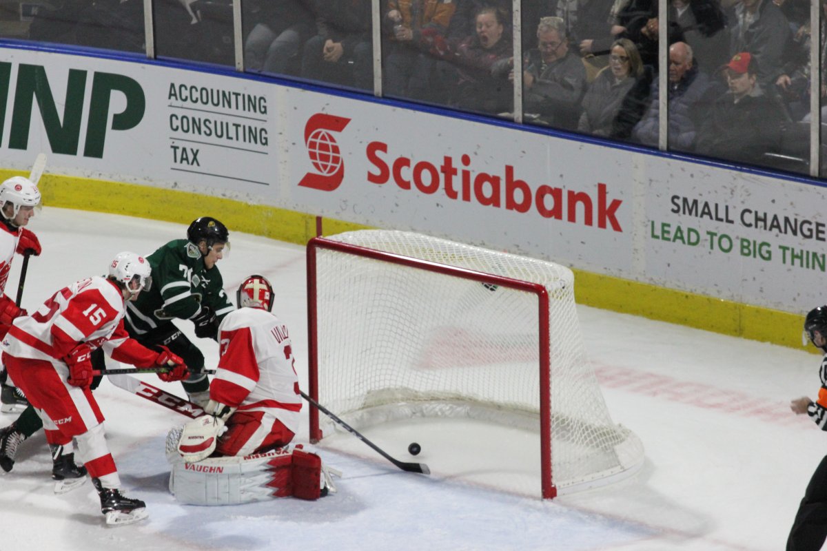 London, Ont. - Matvey Guskov of the London Knights makes sure Alec Regula's shot was completely across the goal line to send the game to overtime as the Knights played host to the Sault Ste. Marie Greyhounds on January 4, 2019.