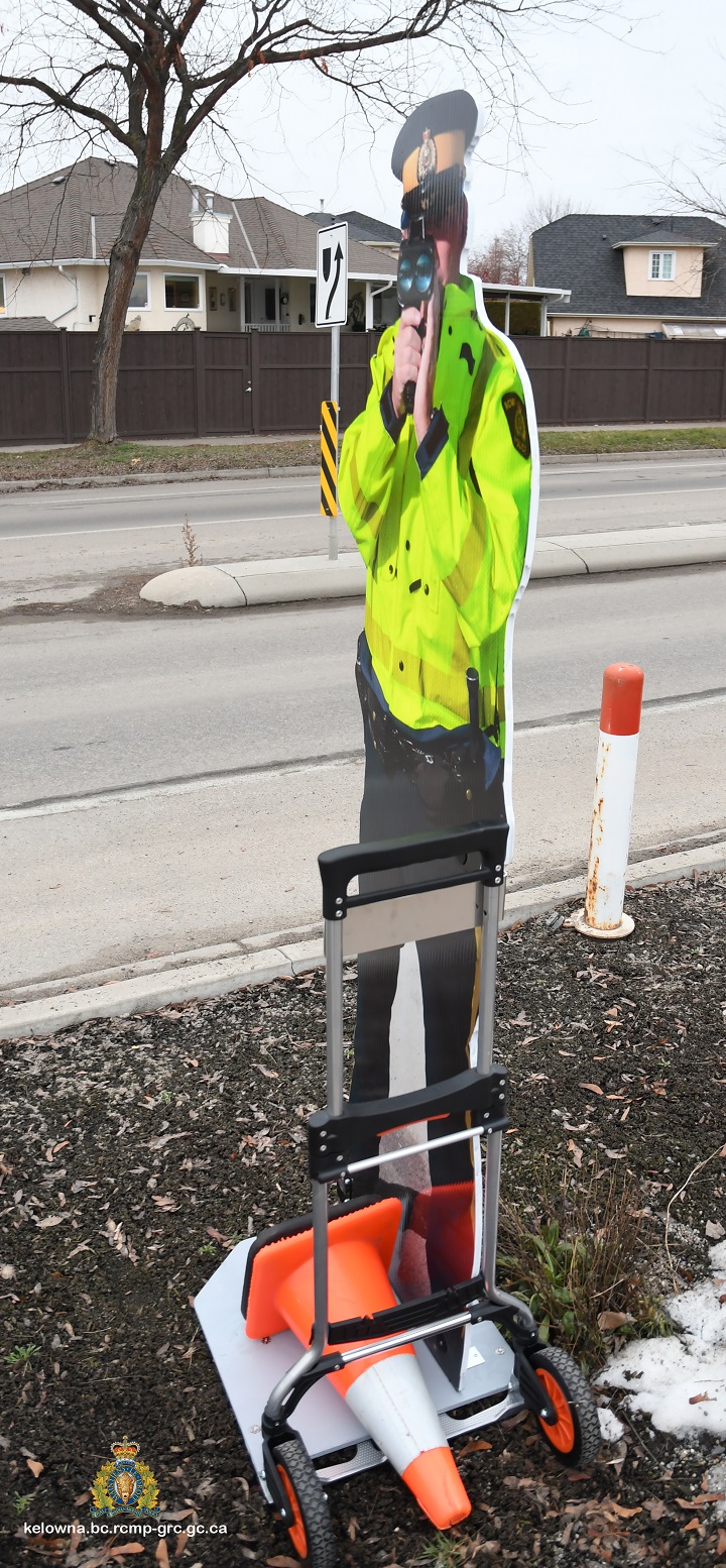 What the cardboard cutout looks like.