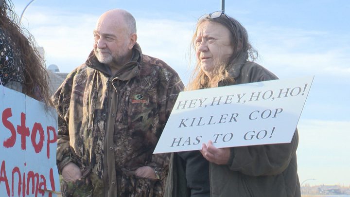 David Vair (left) was one of many protesters who turned out to make their voices heard on Sunday after a Lethbridge police officer was caught on video repeatedly running over a deer.