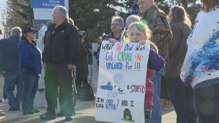 On Sunday, dozens protested a Lethbridge officer who ran over a deer multiple times.