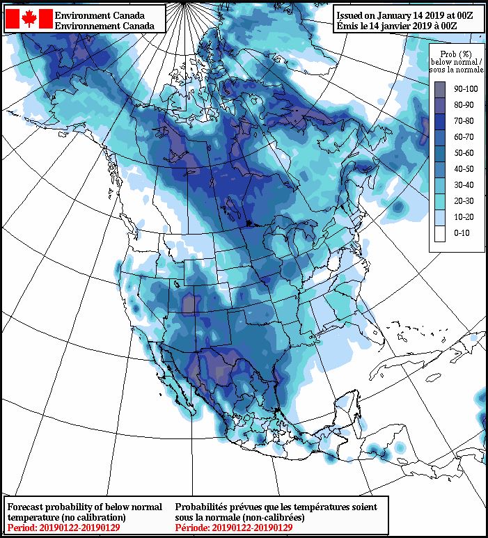 Forecast probability of below normal temperatures for January 22- January 29, 2019.