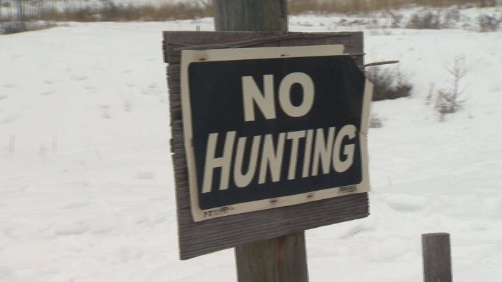 Manitobans convicted of illegal hunting offences - image
