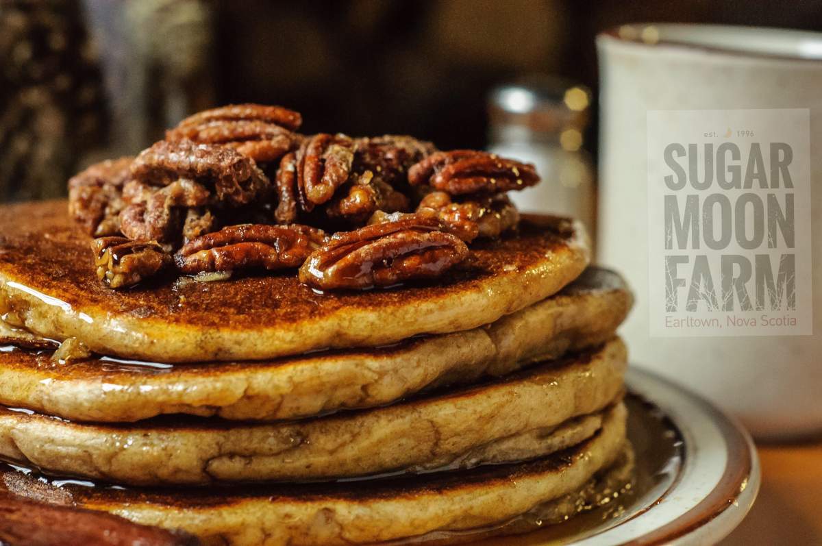 From igloo dinners to winter zip lines, 12 ways to embrace winter across Canada - image