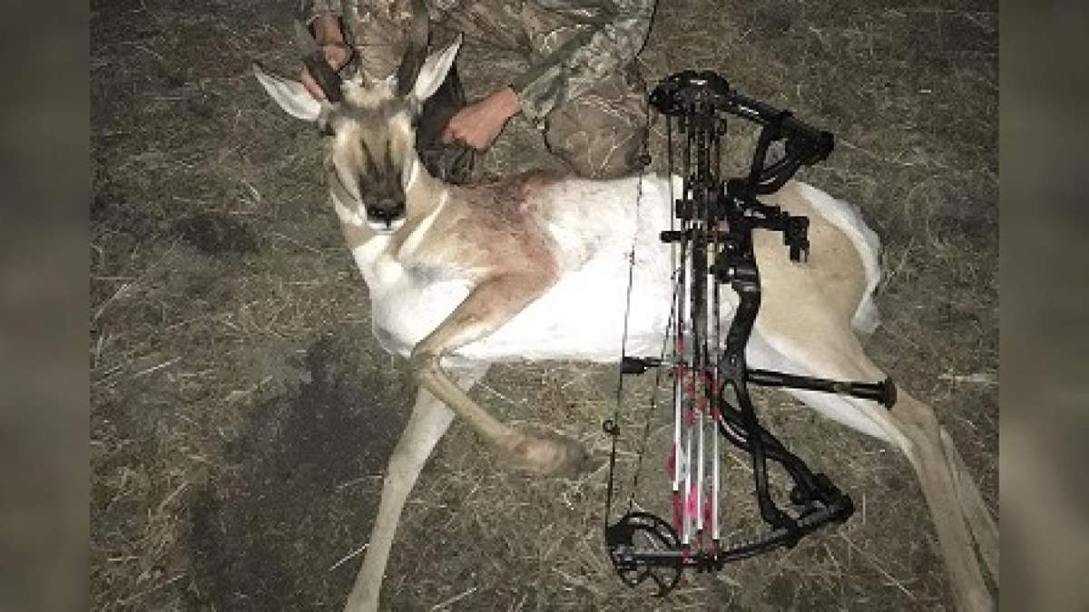 Men convicted of poaching in Missouri facing similar charges in Saskatchewan.