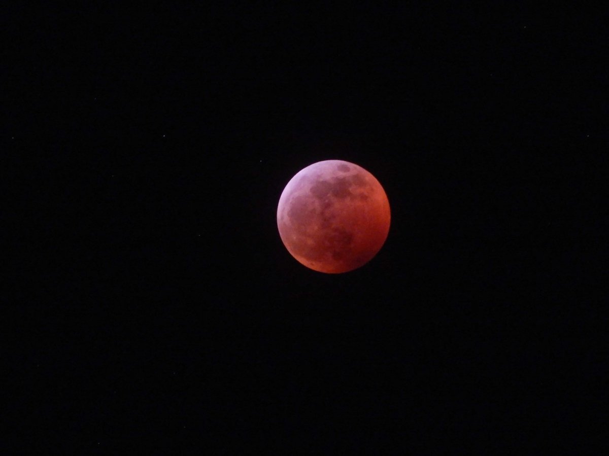 Gallery: Super blood wolf moon eclipse across the Okanagan