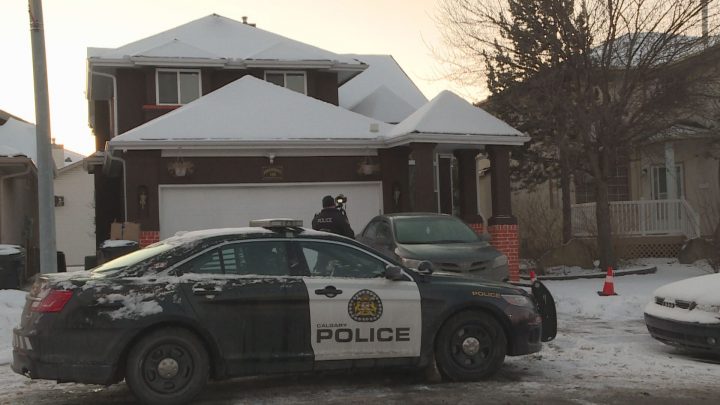 Shots were fired in northeast Calgary early Sunday morning, police said.