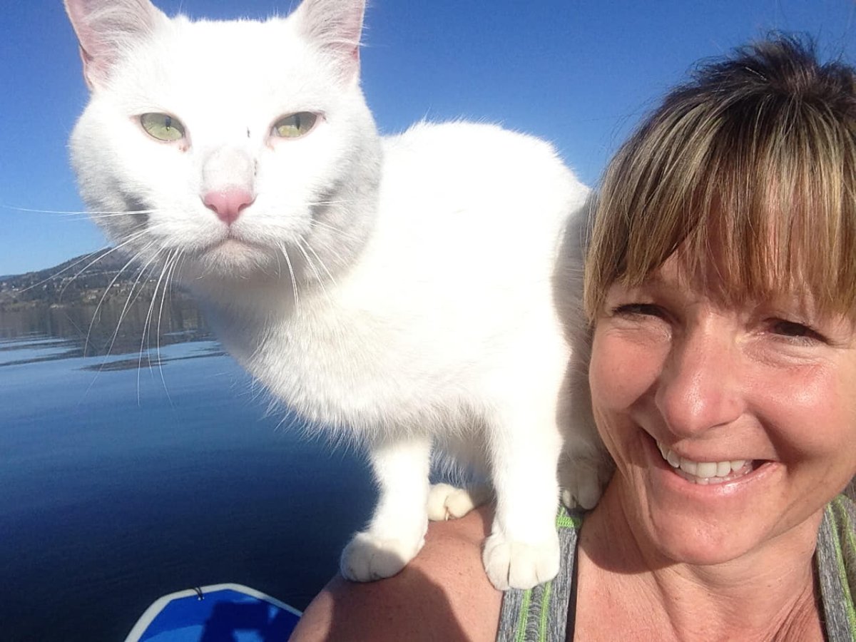 Denise Egan said a tattoo pet identification is what helped bring her cat back after six weeks. 