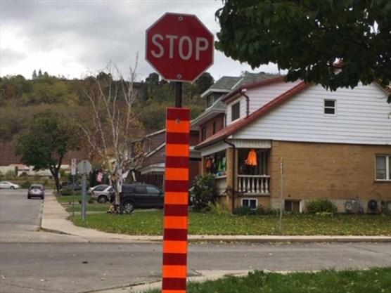 A red and orange "tiger tails" sign at Balmoral Avenue South and Justine Avenue, prompted a debate about the traffic calming measure during Monday's meeting of the public works committee.
