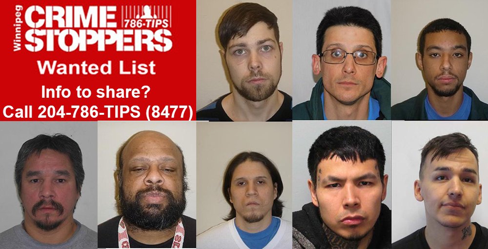 January's most-wanted list: 
(top) Twanow, Cammarata, Mohamed, (bottom) Semple, Mitchell, Harris, Michelle, Maytwayashing.
