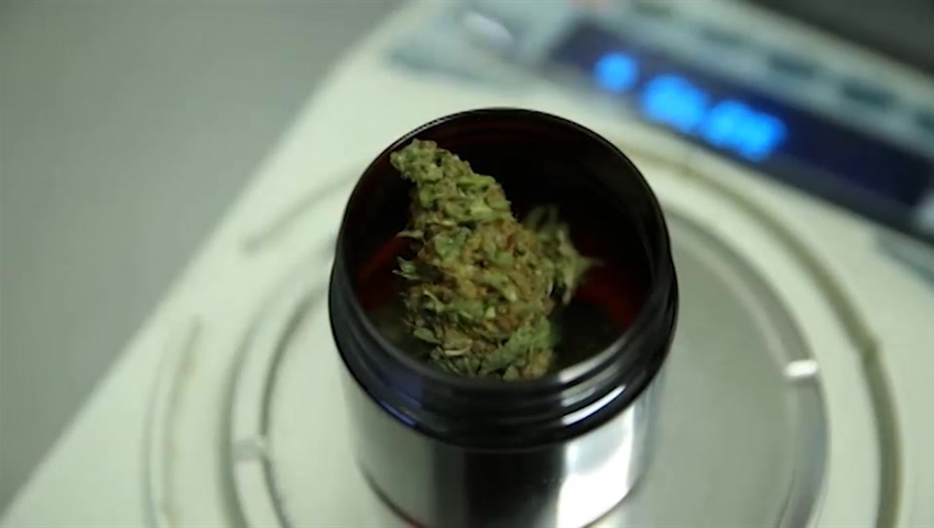 Cannabis shops could help in pandemic’s economic recovery, Kingston expert says - image