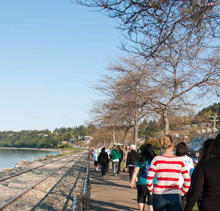 Council will vote on whether to allow dogs on the promenade in off-season months.