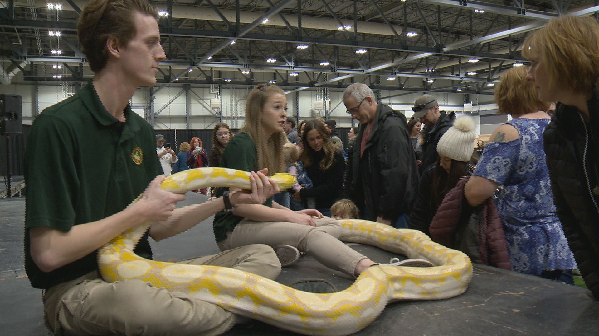 Up close and personal with exotic animals at wildlife festival in Regina -  Regina 