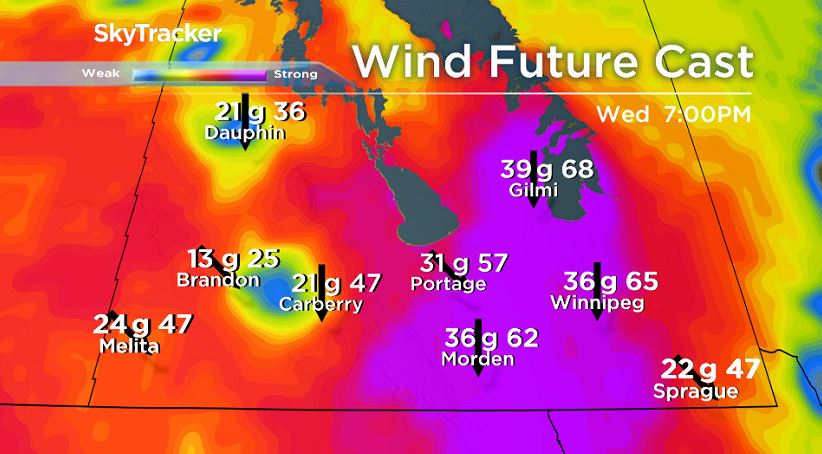 NAM model forecasting wind speeds from January 23, 2019.