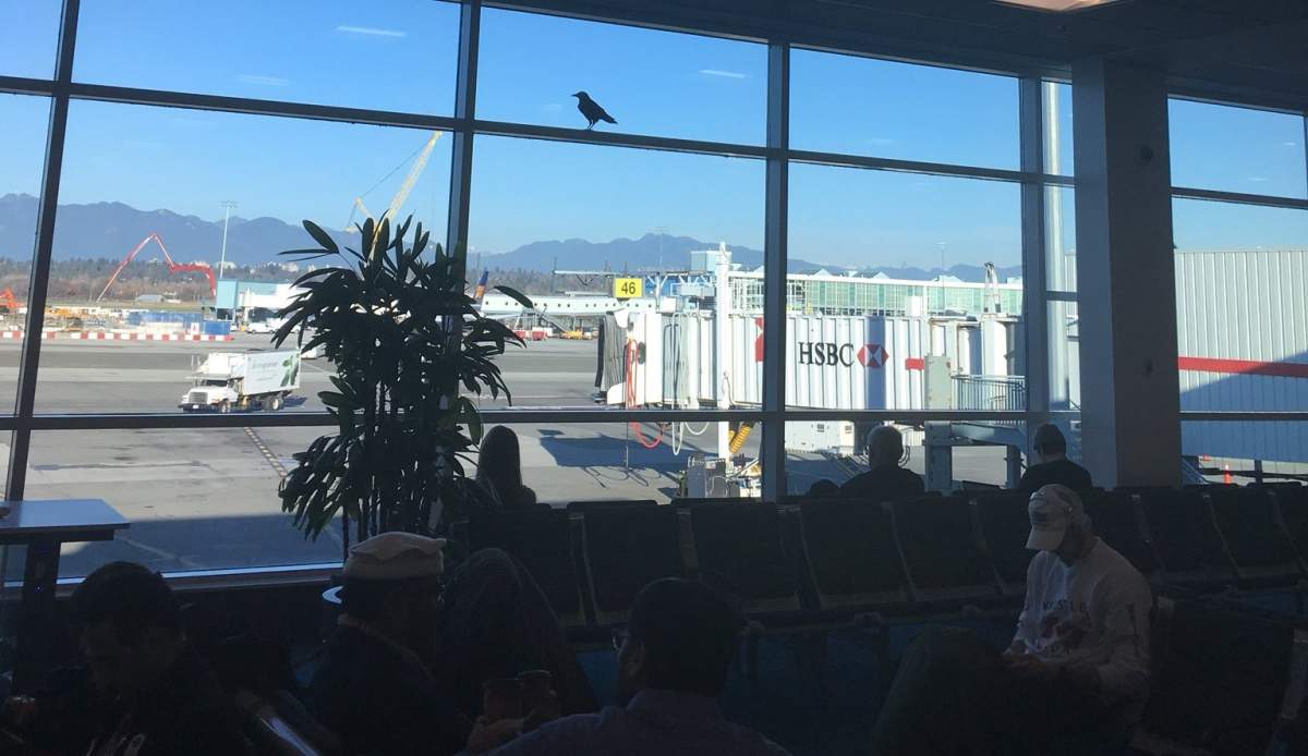 Not all the wings are on the outside at the Vancouver International Airport. 