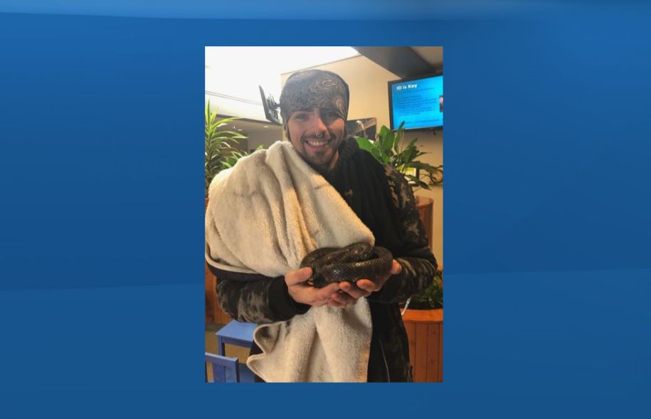 Jay Taylor is reunited with his pet California king snake in Edmonton. Feb. 2019.