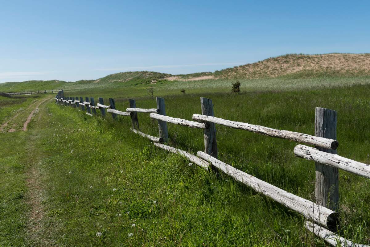 Wooden fence on grassy landscape, New Glasgow, Cavendish, Prince Edward Island National Park, Prince Edward Island, Canada, on Friday, June 10, 2016.  