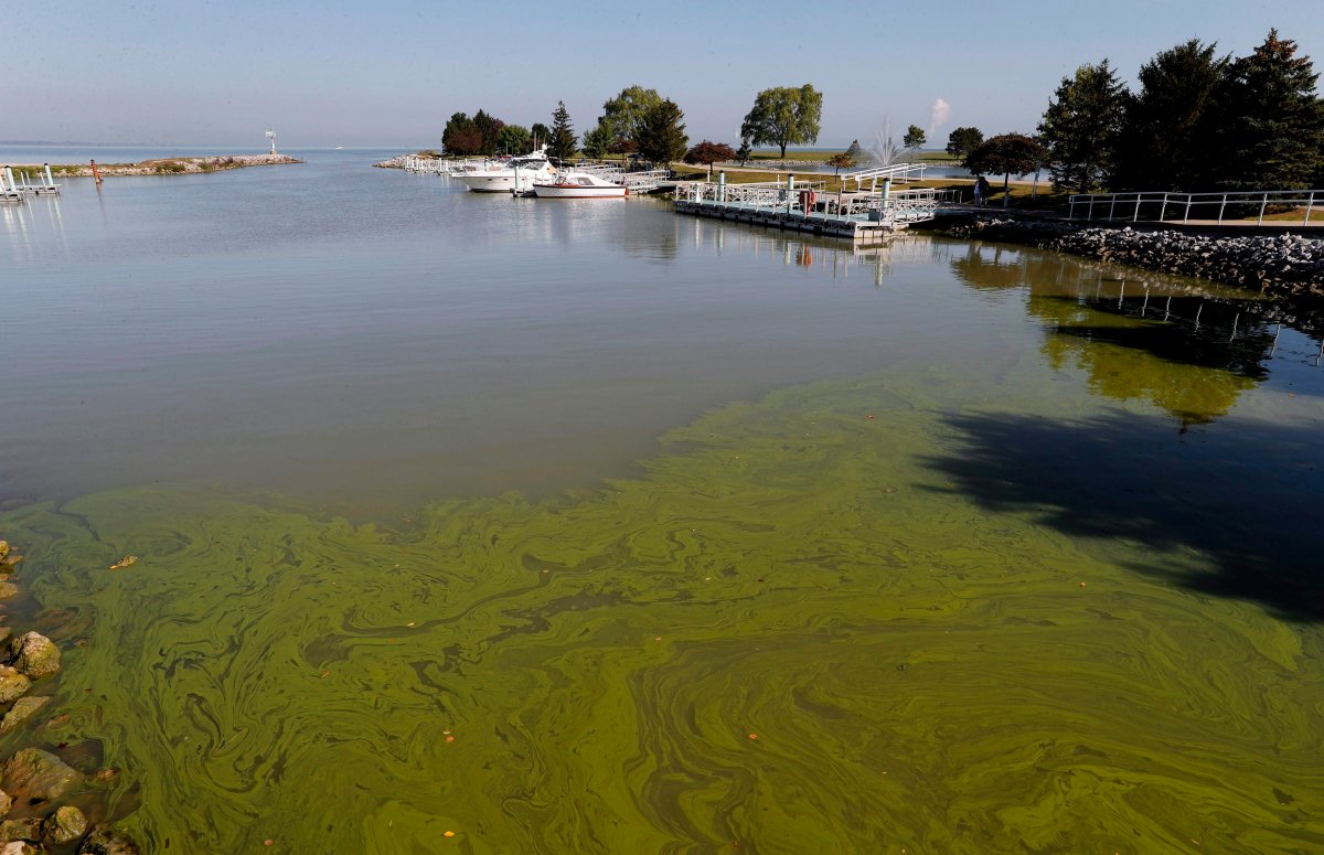 Lake Erie is awash in algae in this photo from 2017. The Lake Winnipeg Foundation says Erie's progress in fighting algae is a good example for Manitoba.