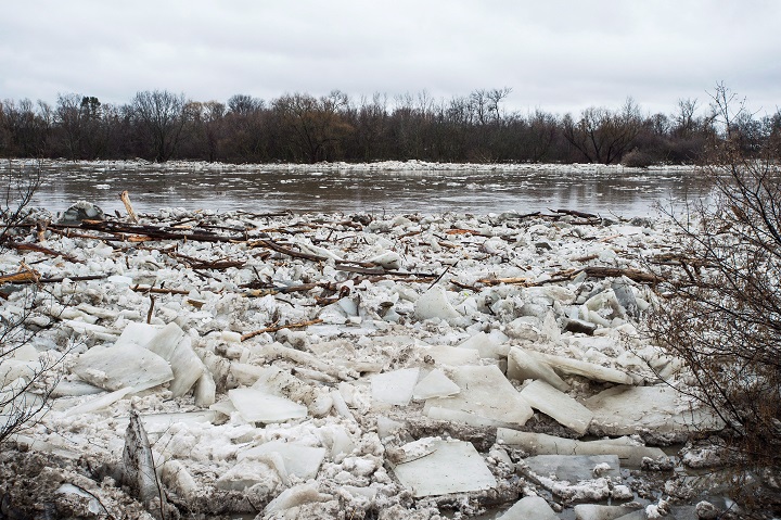 The Toronto and Region Conservation Authority is warning of possible ice jams this weekend.