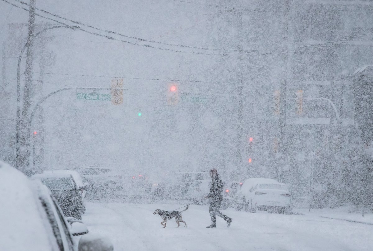 A person walks a dog as heavy snow falls in Vancouver, on Sunday February 10, 2019.