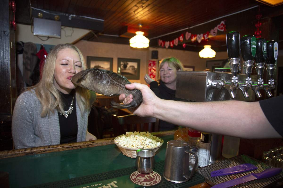 Roxanne Logan of Johannesburg, South Africa kisses the Cod as she is “ScreechedIn” by Brian Day at Christian’s Pub on Wednesday February 13, 2019  in St. John’s NL receive a certificate.