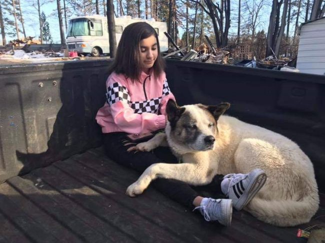 This Feb. 18, 2019 photo provided by Ben Lepe shows Maleah Ballejos reunited with her dog Kingston in Paradise, Calif. 

