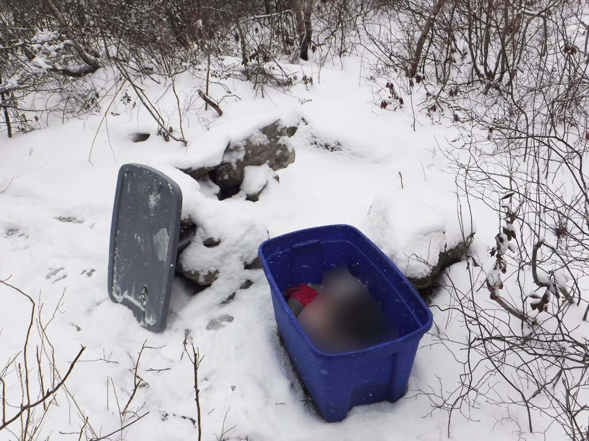 The Nova Scotia SPCA says a mother cat and three kittens were found deceased in a plastic tote in Dartmouth on Feb. 21, 2019. 