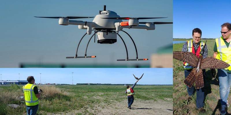 Unmanned Aerial Vehicles: Status & Future Potential in Alberta - image