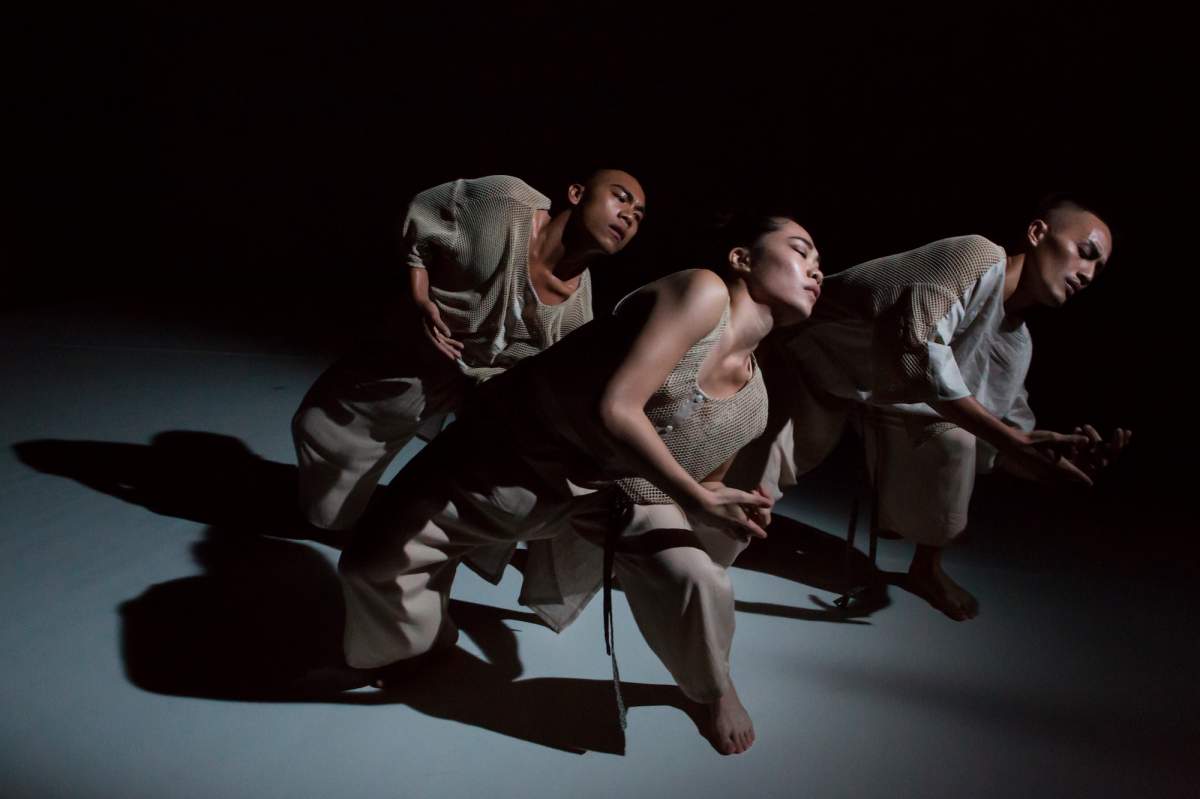 Vancouver International Dance Festival — March 4-30, 2019 - image