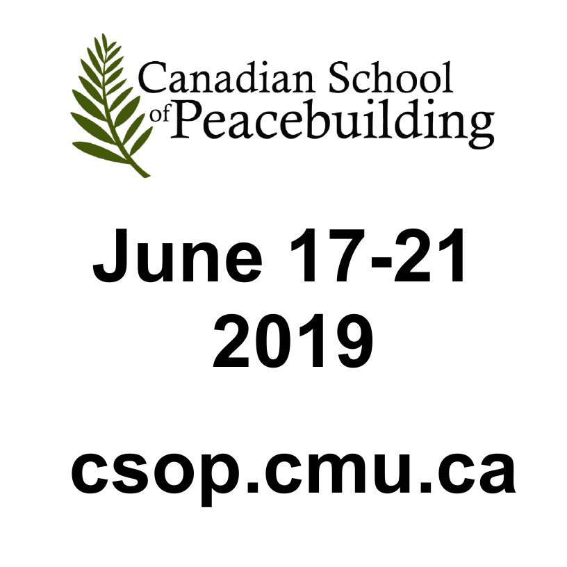 Trauma, Peacebuilding, and Resilience – Level 1 - image