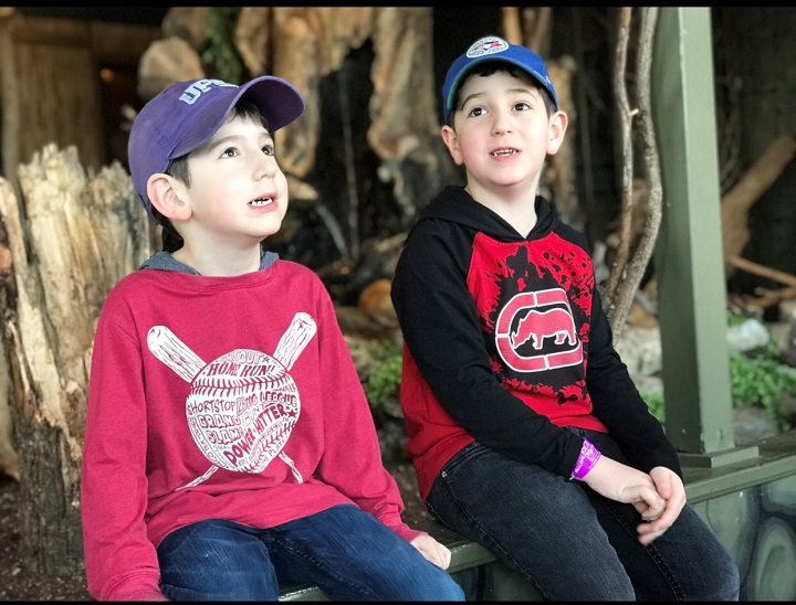 Michael, 6, and Gabriel, 8.