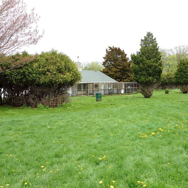 The search continues for a solution that will keep Hamilton's aviary in its current Westdale location.