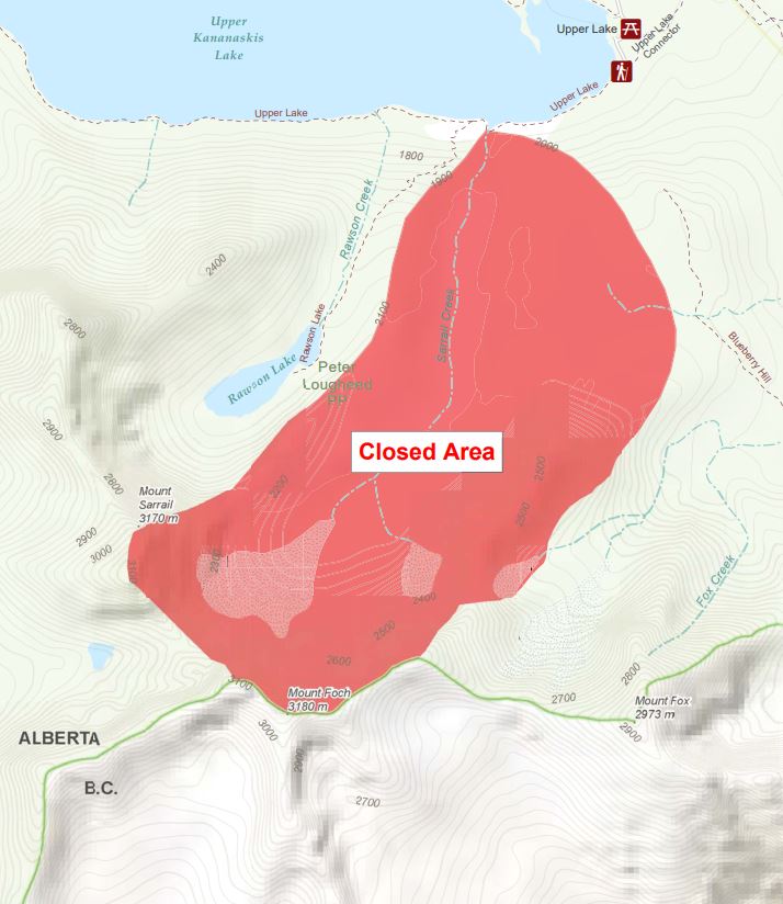 Skiers encounter grizzly in Kananaskis Country — what you should know about winter bear sightings - image