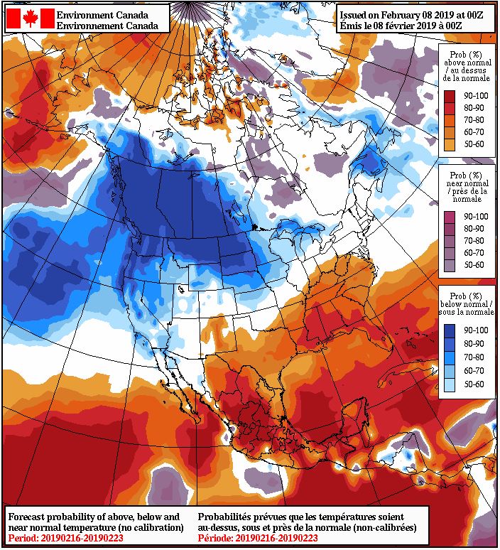 Forecast probability of above, below and near normal temperatures from Feb 16-23, 2019.