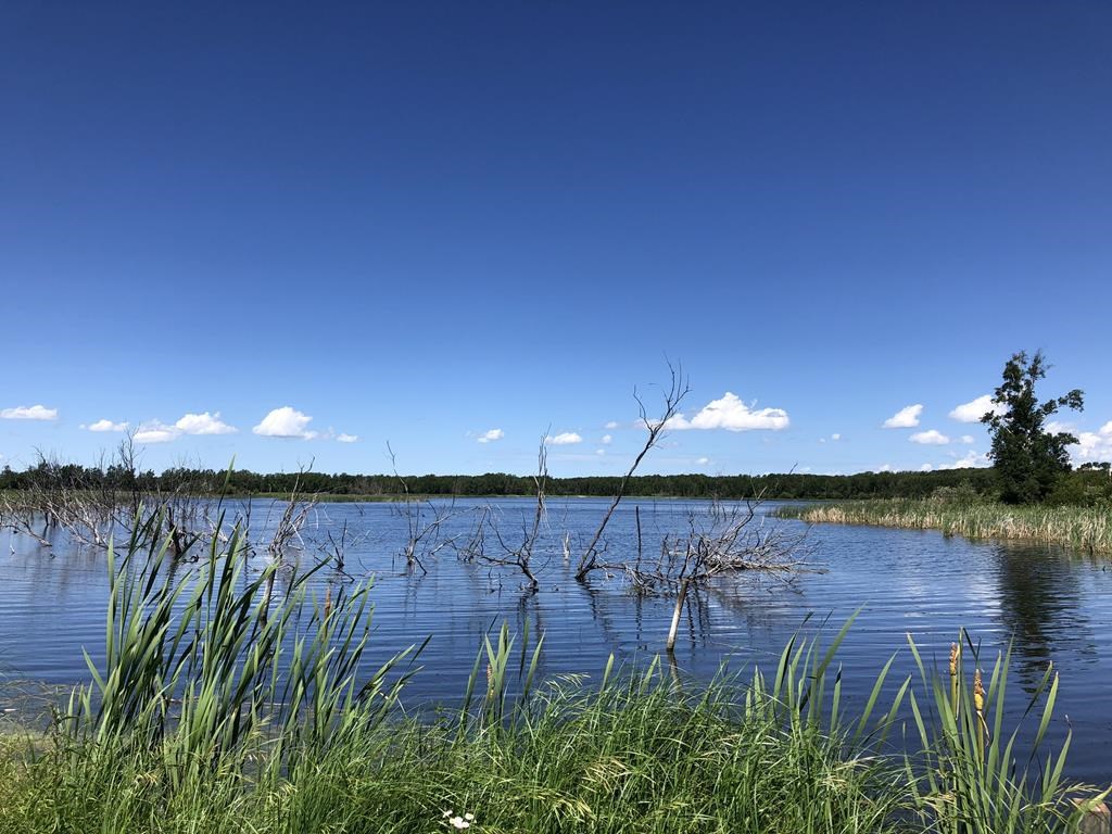 A wetlands area in the Bob Mickelson Conservation Lands in Manitoba is shown in a handout photo from the Nature Conservancy of Canada.
