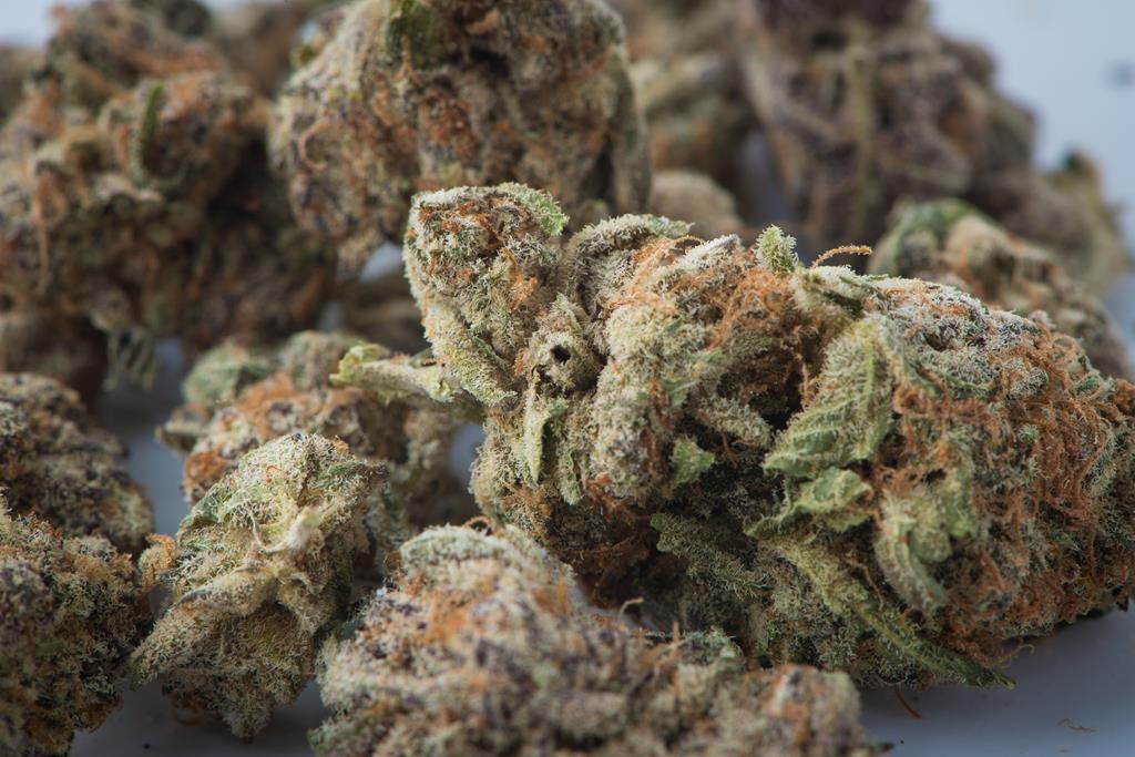 Province-wide, 25 brick-and-mortar cannabis stores are allowed to open as of April 1.