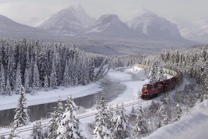 Study finds train speed a top factor in wildlife deaths in Banff, Yoho national parks